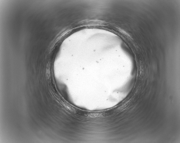 X0000051921407200507222122