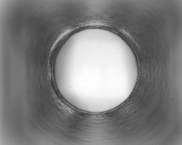 X0000051921408200507222122