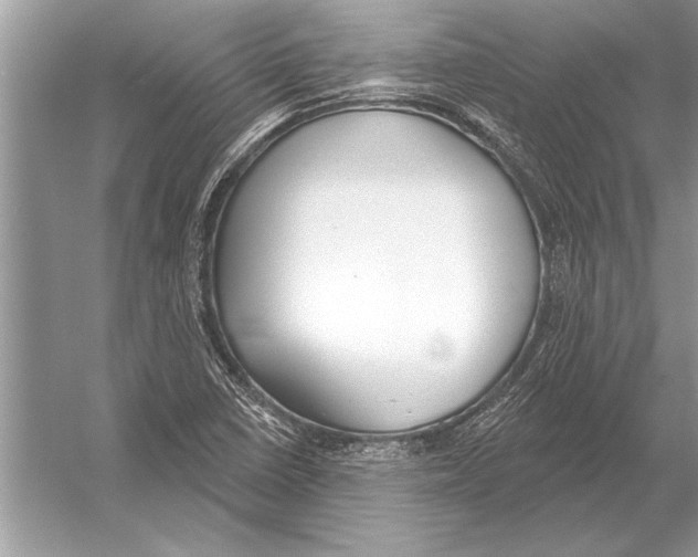 X0000051921410200507222122