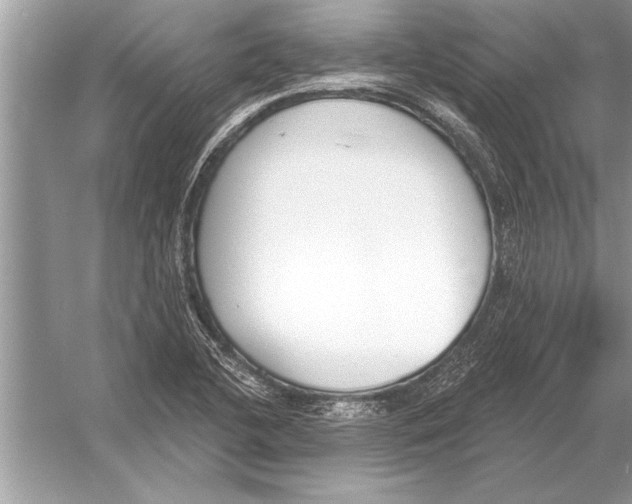 X0000051921412200507222122