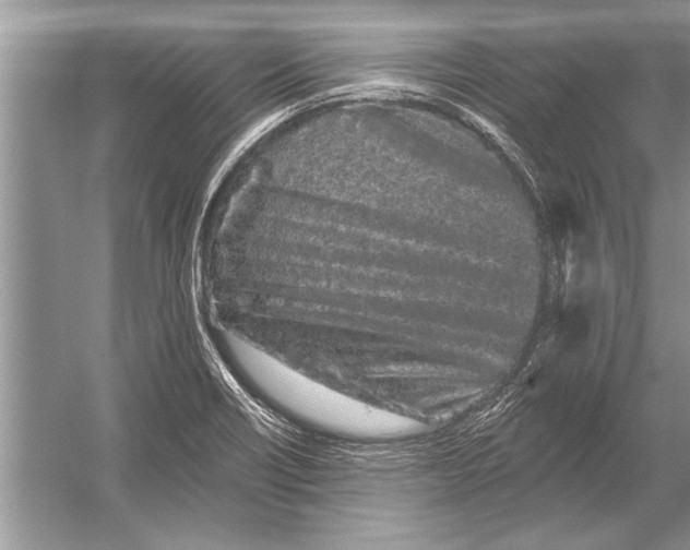 X0000051921418200507222122