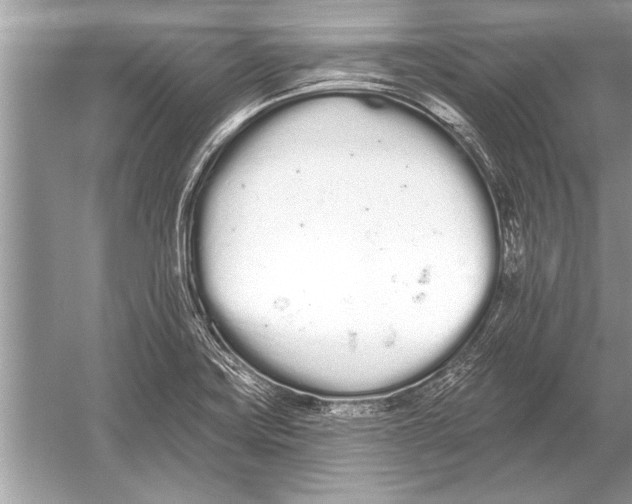 X0000051921419200507222122