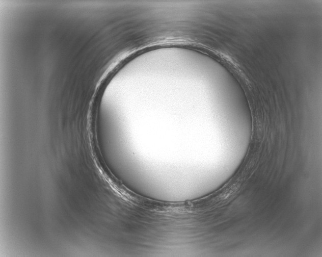 X0000051921422200507222122