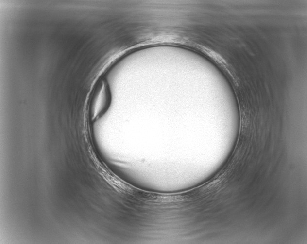 X0000051921423200507222122