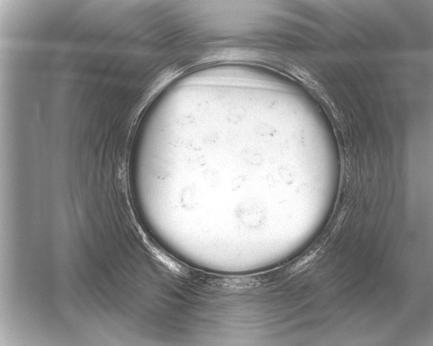 X0000051921425200507222122