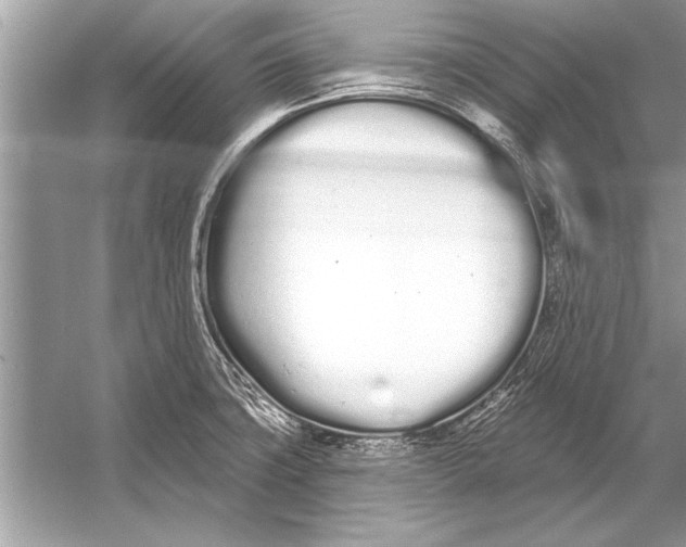 X0000051921427200507222123