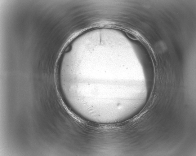 X0000051921429200507222123