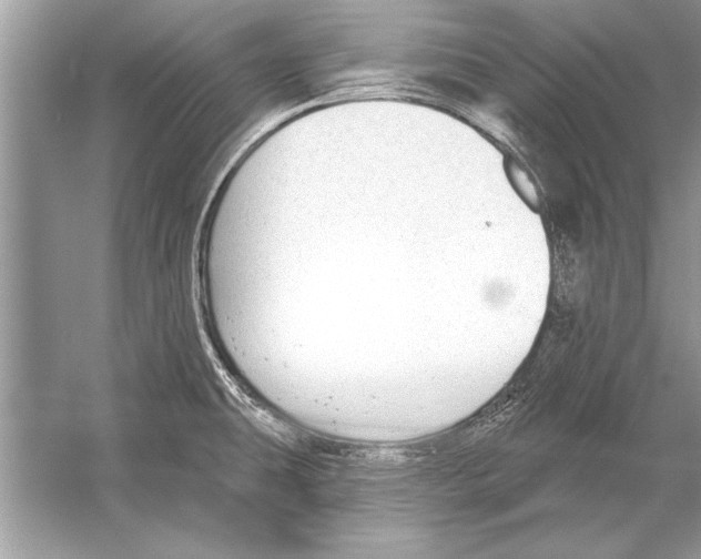 X0000051921431200507222123