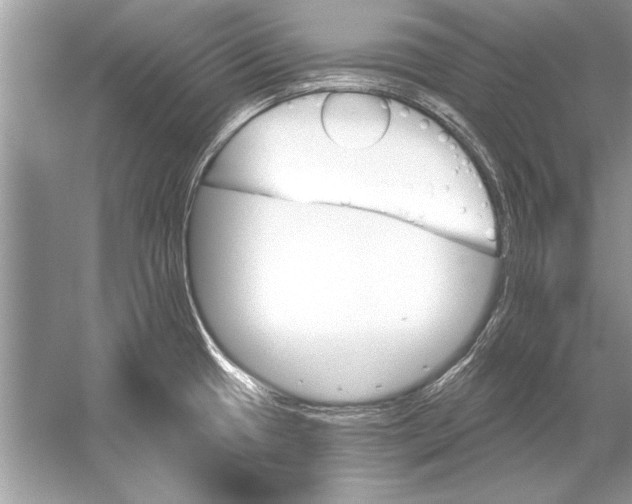 X0000051921433200507222123