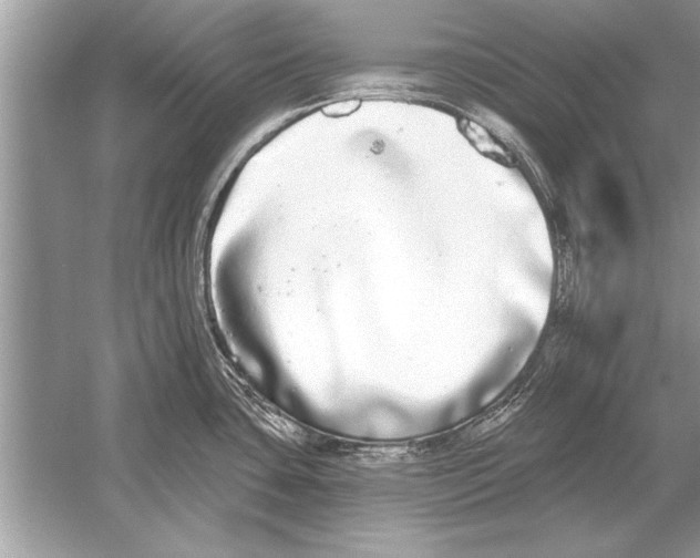 X0000051921435200507222123