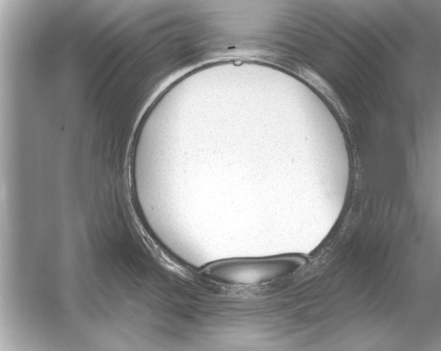 X0000051921436200507222123