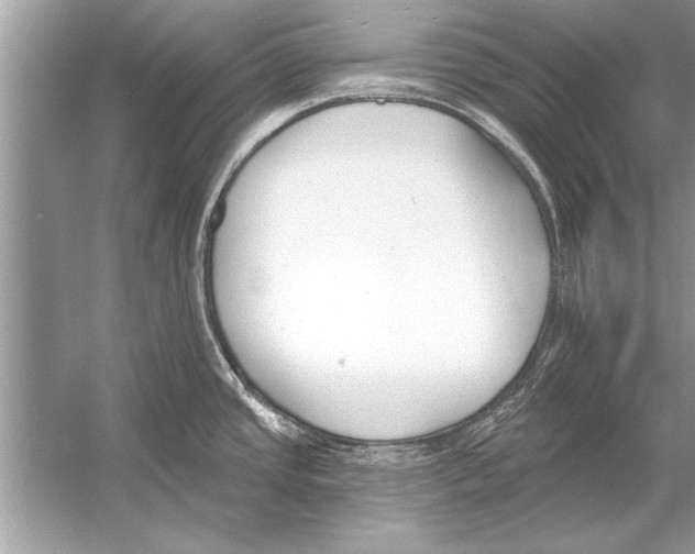 X0000051921437200507222123