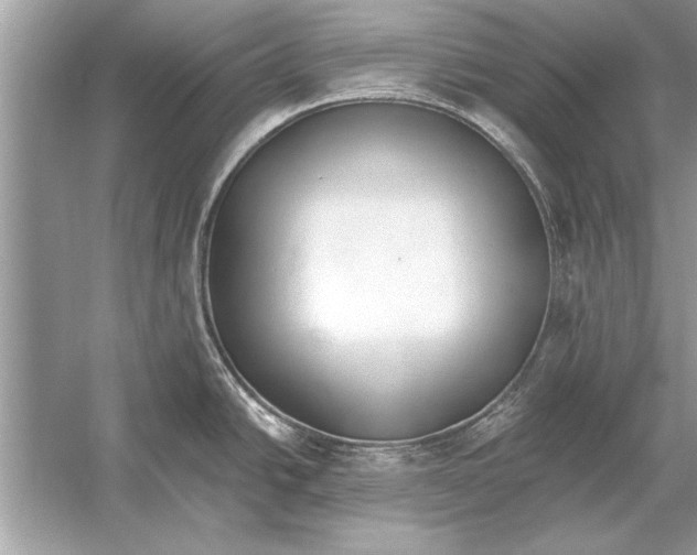 X0000051921438200507222123