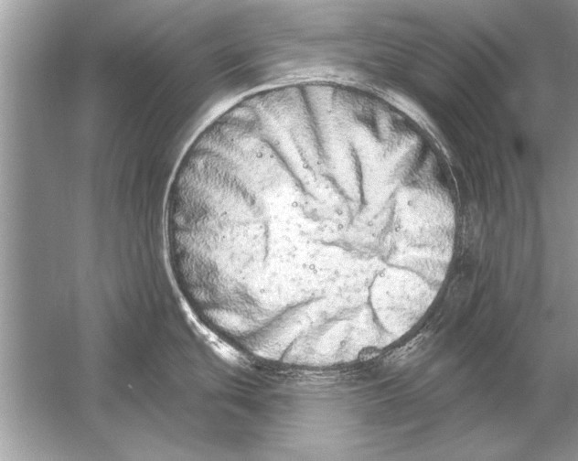 X0000051921439200507222123