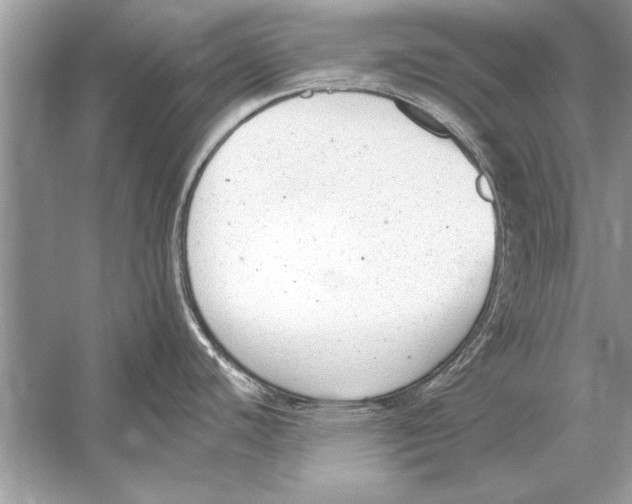 X0000051921440200507222123