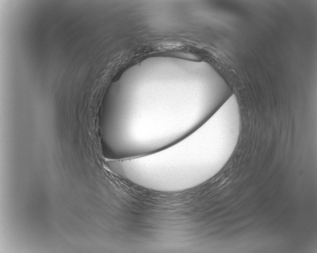 X0000051921441200507222122