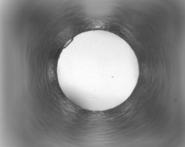 X0000051921442200507222122