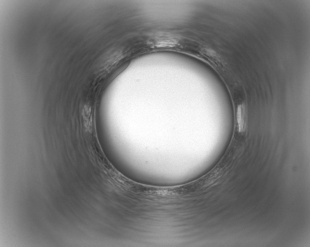 X0000051921443200507222122