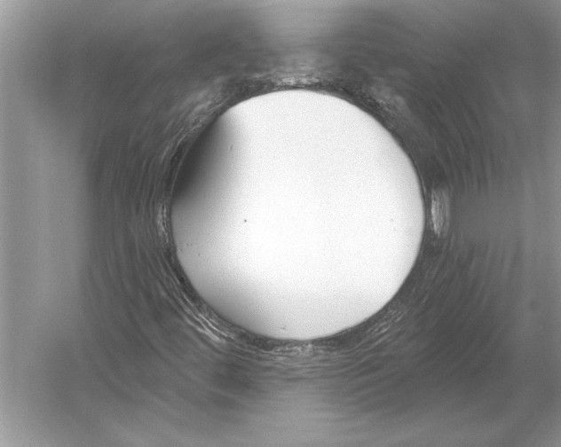 X0000051921444200507222122