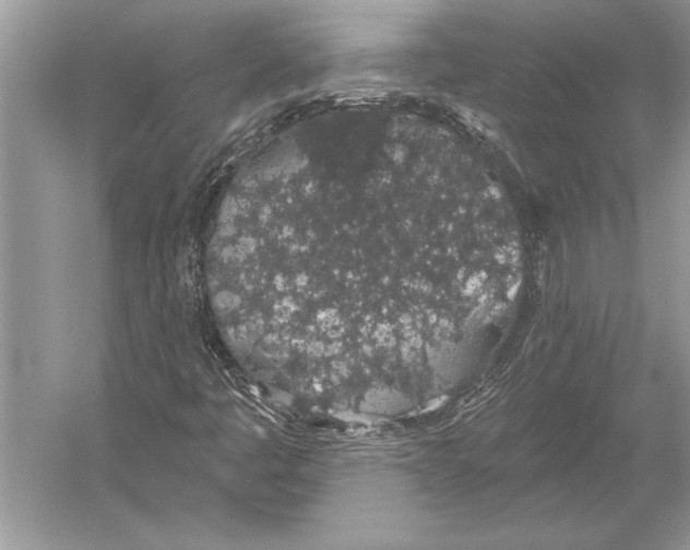 X0000051921445200507222122