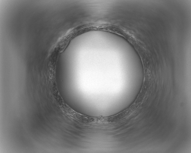 X0000051921447200507222122