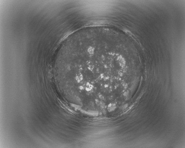 X0000051921449200507222122