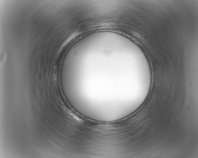 X0000051921450200507222122