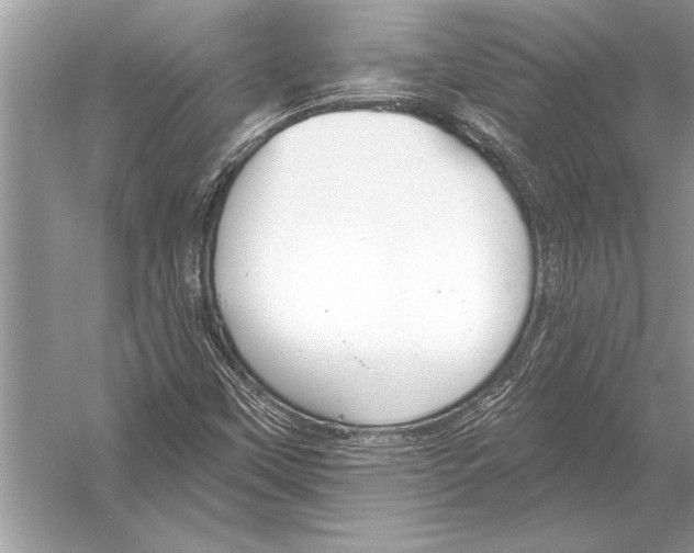 X0000051921451200507222122