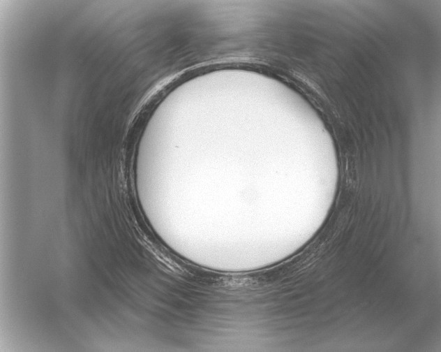 X0000051921452200507222122