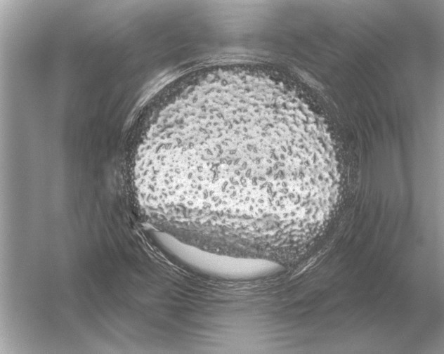 X0000051921453200507222122