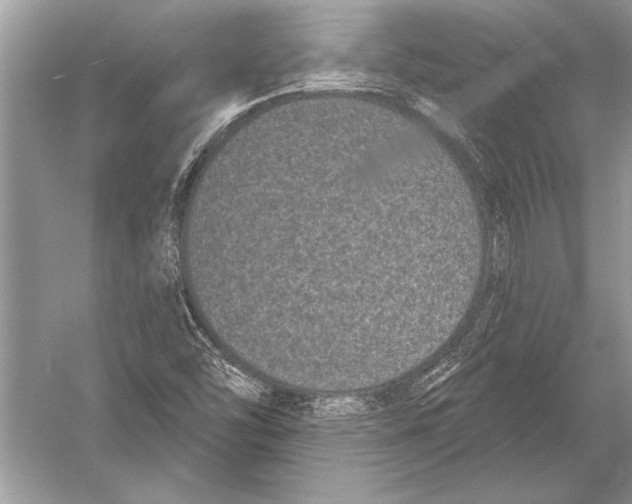 X0000051921454200507222122