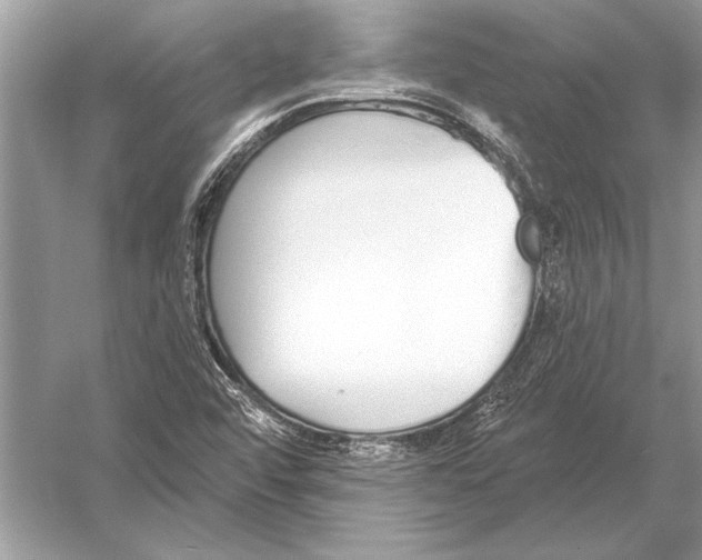 X0000051921456200507222122