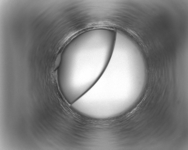 X0000051921457200507222122