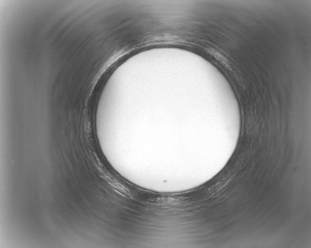 X0000051921458200507222122