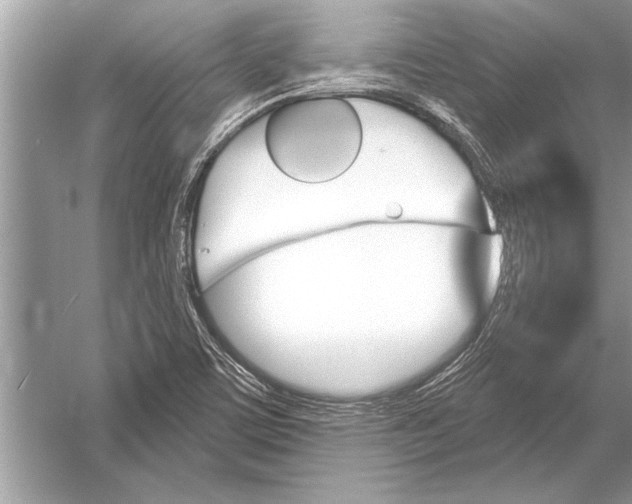 X0000051921459200507222122