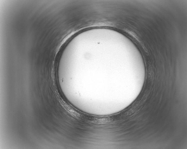 X0000051921460200507222122