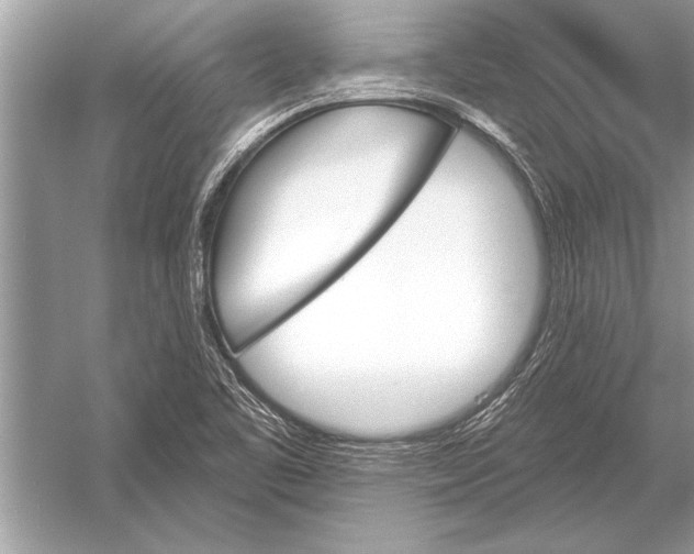 X0000051921461200507222122