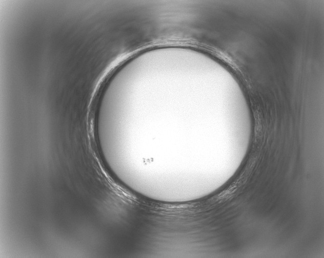 X0000051921462200507222122