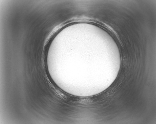 X0000051921464200507222122