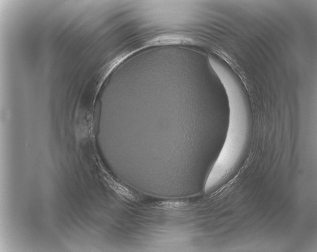 X0000051921465200507222122