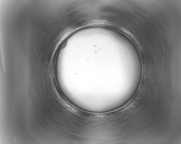 X0000051921467200507222121