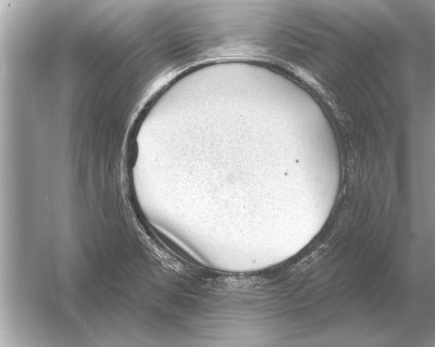 X0000051921469200507222121