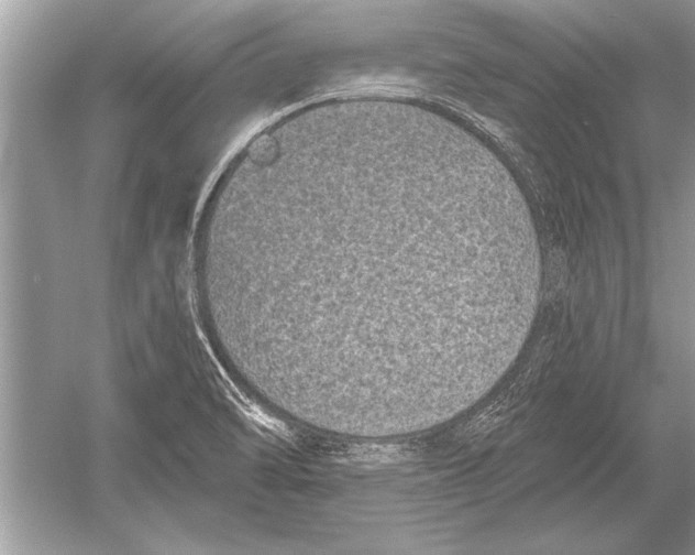 X0000051921470200507222121