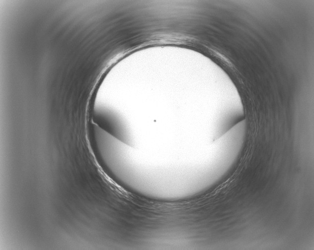 X0000051921471200507222121