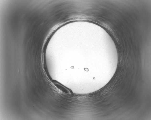 X0000051921472200507222121