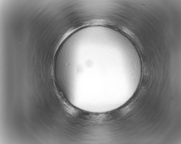 X0000051921473200507222121