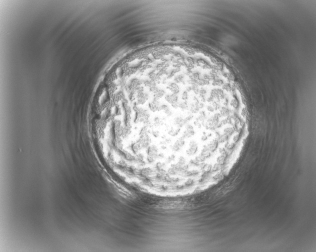 X0000051921474200507222121