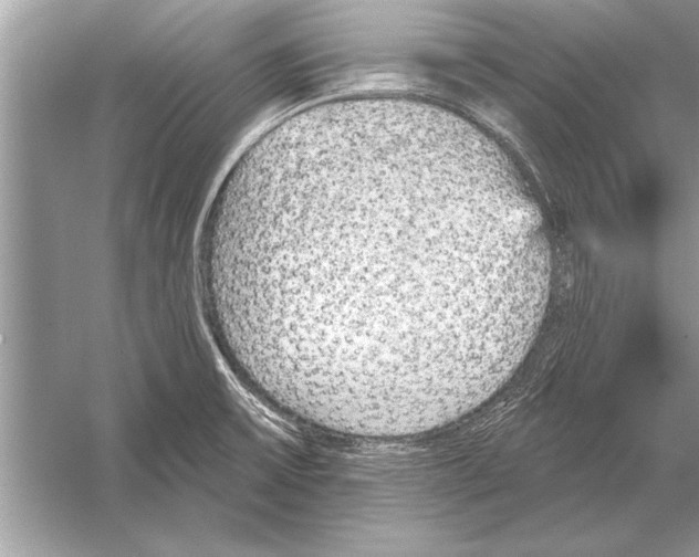 X0000051921475200507222121