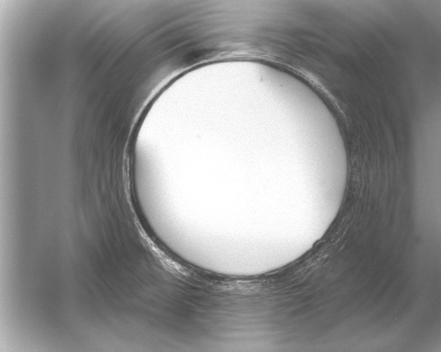 X0000051921476200507222121