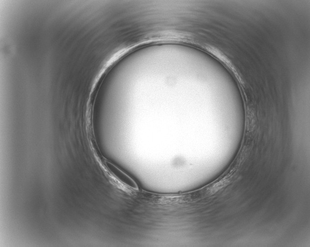 X0000051921477200507222121